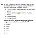 IMG_1790.jpeg